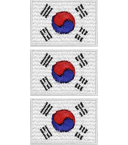 Amazon.co.jp: naissant 4枚 セット 韓国 国旗 韓国旗 ワッペン