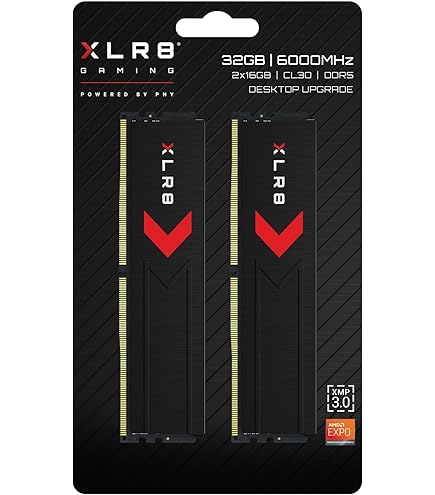 メモリー Biwin Black Opal DW100 32GB (2x16GB) Biwin Black Opal OC Lab Gold Edition DW100 192 GB Memory Kit (48