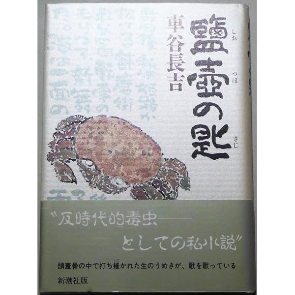 漂流物 (新潮文庫) | 長吉, 車谷 |本 | 通販 | Amazon