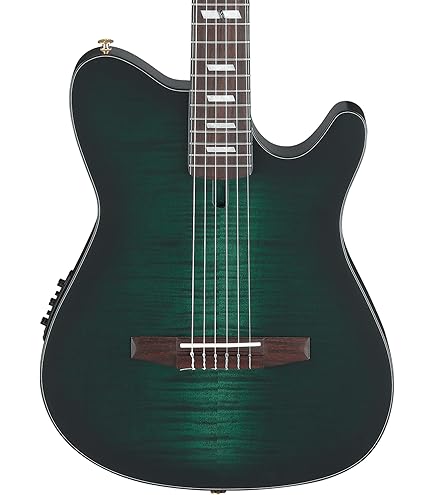 Amazon | IBANEZ TOD10N-TKF Tim Henson Signature Model ナイロン弦