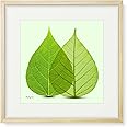 絵画「葉のよりそい」インテリア 絵 花 アートパネル 額入り (縦32cm x 横32cm)