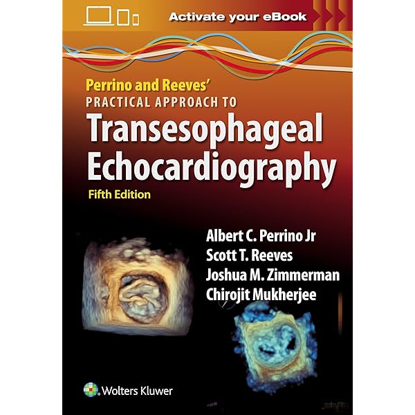 Clinical Manual and Review of Transesophageal Echocardiography, 3