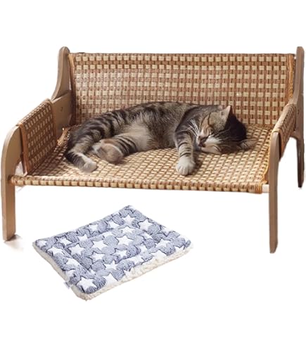 CORAL＆TUSK コーラルアンドタスク クッションカバー cat 猫 コーラル＆タスク(Coral&Tusk)3匹のネコのクッションカバー（中