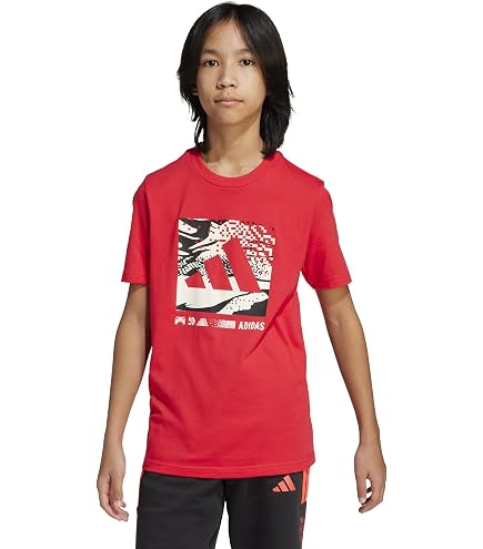 Amazon.co.jp: ビーチボーイズ Tシャツ L 反町 潮音海岸 : ファッション