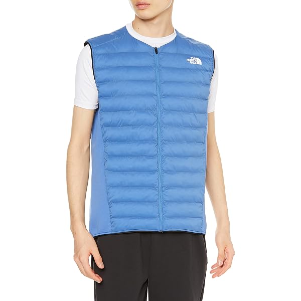 Amazon.co.jp: [ザノースフェイス] レッドランベスト メンズ NY82174