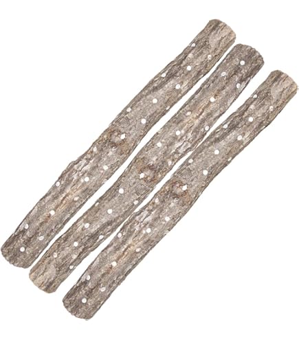 Amazon | しいたけ 種駒すその620号（棒型） 500個入り｜従来品種より