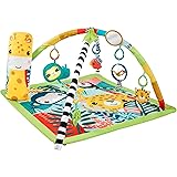 フィッシャープライス(fisher price) どうぶつたちと発見！レインフォレストジム 【お誕生（０ヵ月）～】【赤ちゃん おもちゃ】【プレゼント】 HJW08