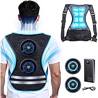 Amazon.co.jp: Bulonchi Peltier Vest (2025 Super Large
