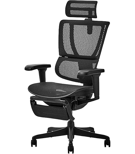 エルゴヒューマンプロ2 オットマン付 EHP2-LPL-DR-BF-BK Amazon.co.jp: 【正規品】 エルゴヒューマン プロ2 オットマン