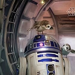 スター・ウォーズ(STAR WARS)の人気壁紙画像 R2-D2とポーグ