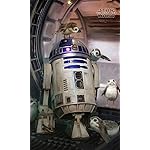 スター・ウォーズ(STAR WARS) FVGA(480×800)壁紙 R2-D2とポーグ スター・ウォーズ(STAR WARS) FVGA(480×800)壁紙 R2-D2とポーグ