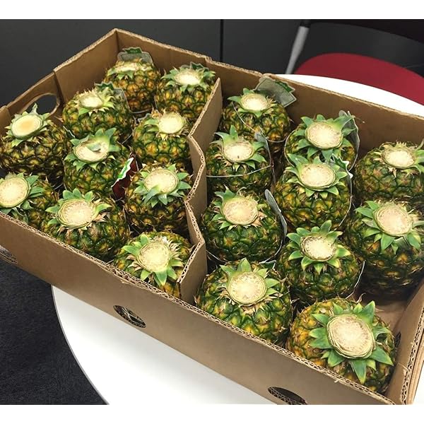 パインの実 Amazon.co.jp: ドール フルーツパウチ スウィーティオ