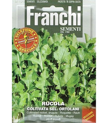 ルッコラページ Amazon.co.jp: 【FRANCHI社種子】【115/1】ルッコラ（ロケット） : DIY