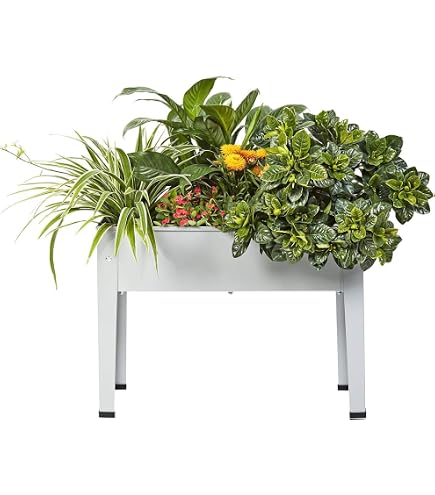 Amazon.co.jp: カリフォルニア ルート66 ドラム缶リメイクプランター