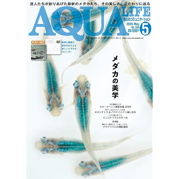 アクアライフ 2022年5月号 (2022-04-18) [雑誌] | エムピージェー