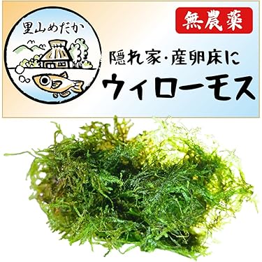 Amazon.co.jp ほしい物ランキング: 生体（水草） で、ほしい物リストと