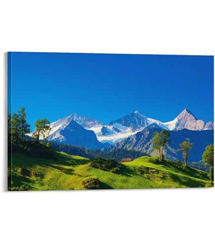 Amazon.co.jp: スイス、アルプス、山、夏、自然、緑、家 キャンバスの