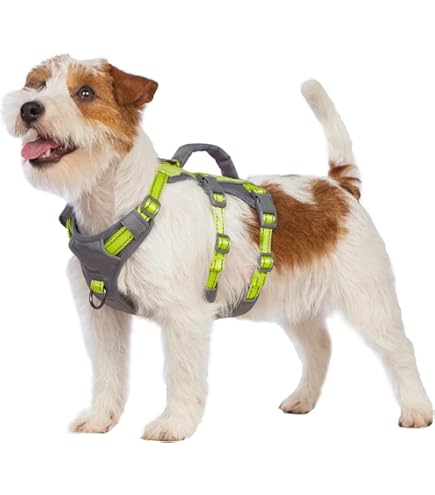 Amazon | RUFFWEAR(ラフウェア)公式 フラッグラインハーネス セージ