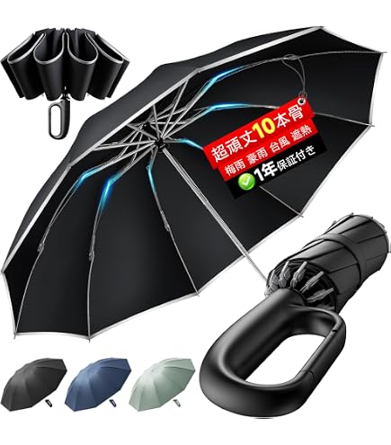 Amazon.co.jp: PB SWISS TOOLS 2710KNIRPS-BL 折畳み傘 ブラック
