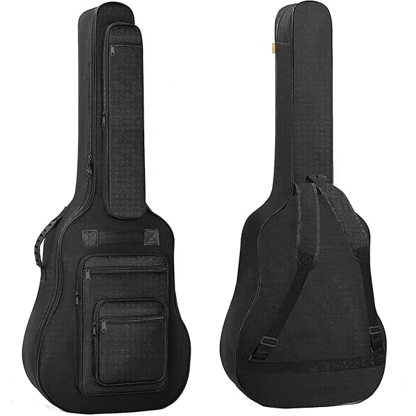 MORRIS MD-201 アコースティックギター モーリス ソフトケース付 MORRIS MD-201 アコースティックギター モーリス ソフトケース付