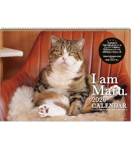 maruさま2026 MIZUNOミズノ⭐︎MXR OSAKA CITY PACK⭐︎大阪万博⭐︎24.5