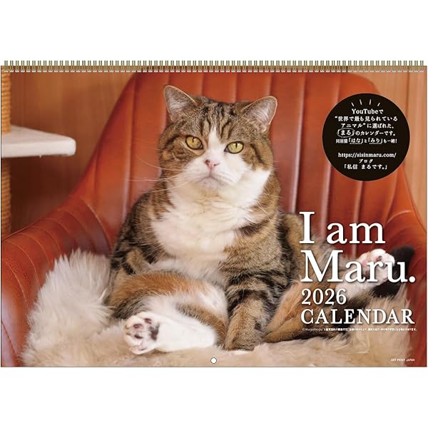 遊まるです！！ 英語で楽しむ! I am Maru. まるです。 | mugumogu |本 | 通販