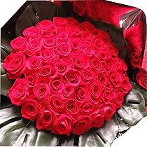 新品 プリザーブドフラワー 50輪 薔薇 バラ プロポーズ 記念日 結婚式 アモローサ プロポーズ バラ プリザーブドフラワー プレゼント ギフト