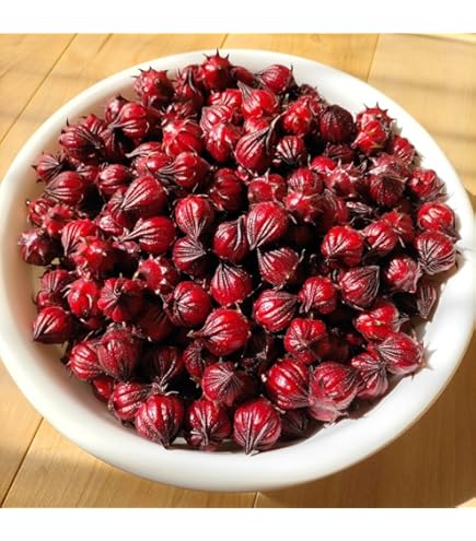 Amazon.co.jp: ローゼル 種120粒 (各60粒) 赤2種類(花はクリーム