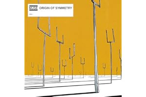Origin of Symmetry (2 LP) [Vinyl]