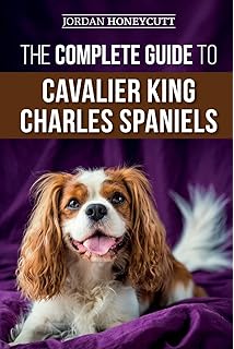 cavalier king charles spaniel separation anxiety