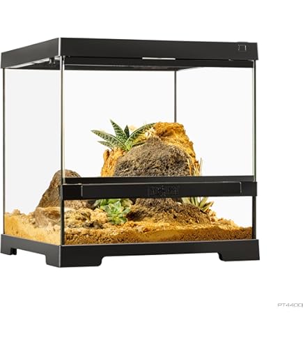 Amazon | エキゾテラ GEX EXOTERRA グラステラリウム 4530 PT2603