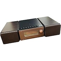 Amazon.co.jp: JVCケンウッド EX-S55-T ウッドコーンシリーズ