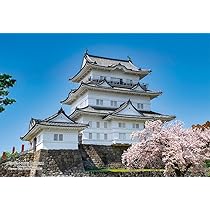 アトリエココ　セントラル　ジグソーパズル Amazon.co.jp: 1000ピース ジグソーパズル めざせ! パズルの達人