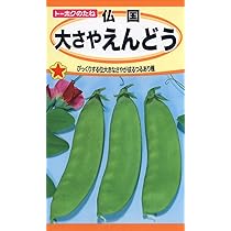 Amazon | 株式会社トーホク 仏国大さやえんどう 01269 | 野菜
