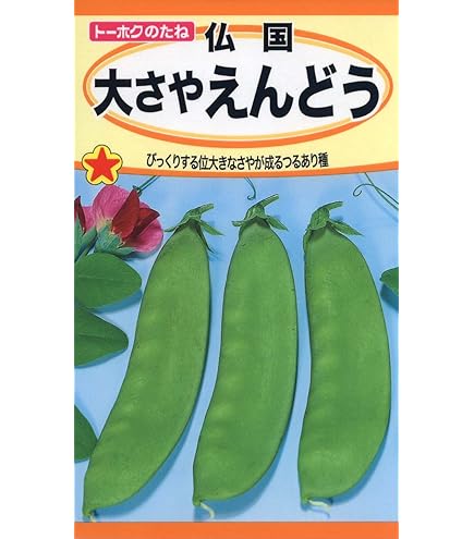 Amazon | サカタのタネ 実咲野菜 エンドウ 耐病極早生絹さやエンドウ