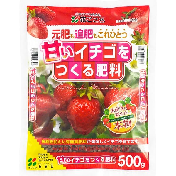 工芸品 strawberrymixpie Amazon.com: Nissin Associates Clay Jewelry 259 Mold Cutter
