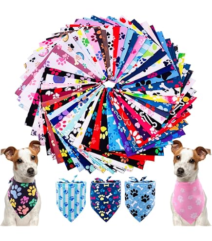 Amazon.co.jp: Fenice Peak プロフェッショナルカーブ犬用 Amazon.co.jp: Fenice Peak プロフェッショナルカーブ犬用