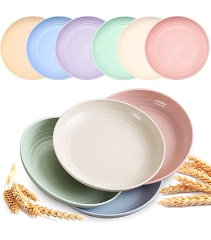 Villeroy & Boch モダングレース 皿 ディナープレート Villeroy