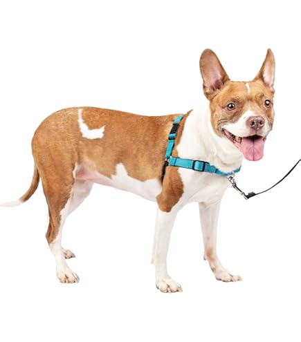 Kong Dog Vest Dog Training No Pull Dog Harness Petsmart PetSafe