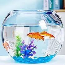 713MEJRHZHL._AC_UL210_SR210,