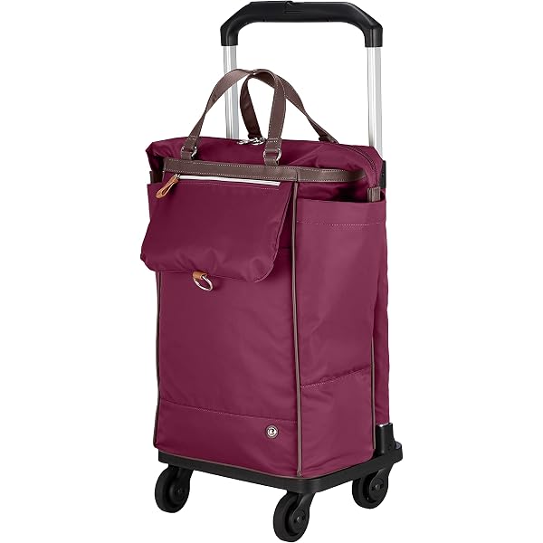 Amazon | [ソエルテ] スーツケース アルディート 20L 43 cm 2.2kg