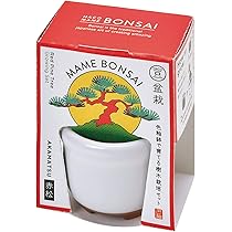 Amazon.co.jp: 聖新陶芸 染付小紋盆栽栽培セット 黒松 GD-45201