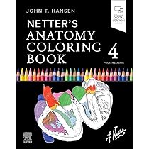 NETTER’s ANATOMY COLORING BOOK Netter's Anatomy Coloring Book : Hansen PhD, John T.: Amazon.sg: Books