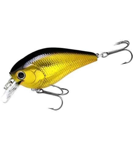 Amazon.co.jp: ラッキークラフト LC1.5 サイレント 7つセット