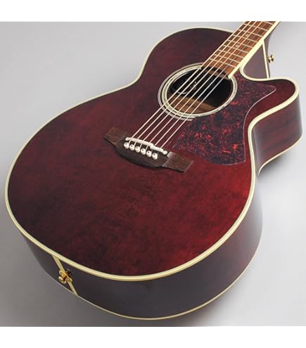 Amazon | Takamine / FPT561C BL 500 Series タカミネ 高峰 日本製 [S