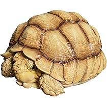 713YT5e3-YL._AC_UL210_SR210,