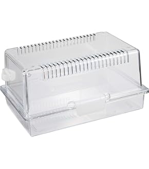 Amazon.co.jp: レップジャパン ナラベルトS7×85cm遠赤外線リボン