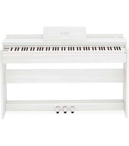 Amazon.co.jp: CASIO 電子ピアノ Privia PX-310 : 楽器・音響機器