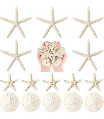 Nautical Crush Trading Sand Dollar | Real Sand Dollars 2 1/2" To 3" (Set Of 9) | Sand Dollar Shells Plus Free Nautical EBook By