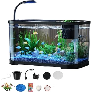 今月限定 NISSOガラス180の水槽 フルセット魚付き アロアナ